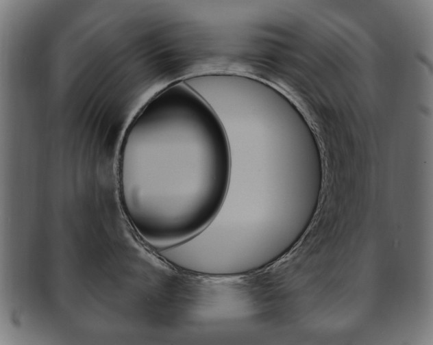 X0000091990864200709061219