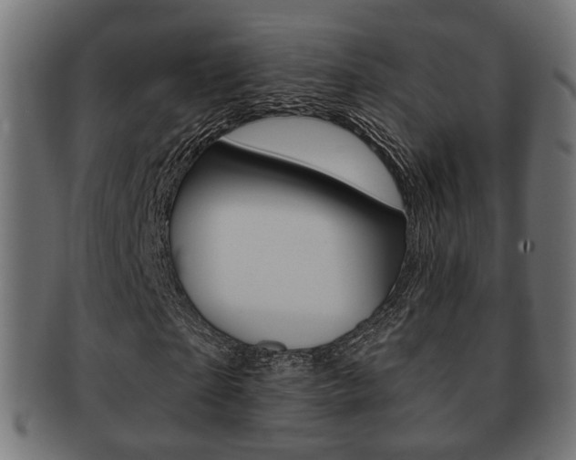 X0000091990865200709061218