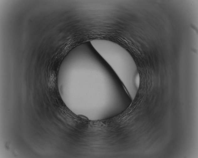 X0000091990866200709061218