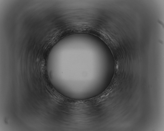 X0000091990867200709061218