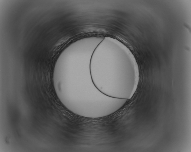 X0000091990869200709061218