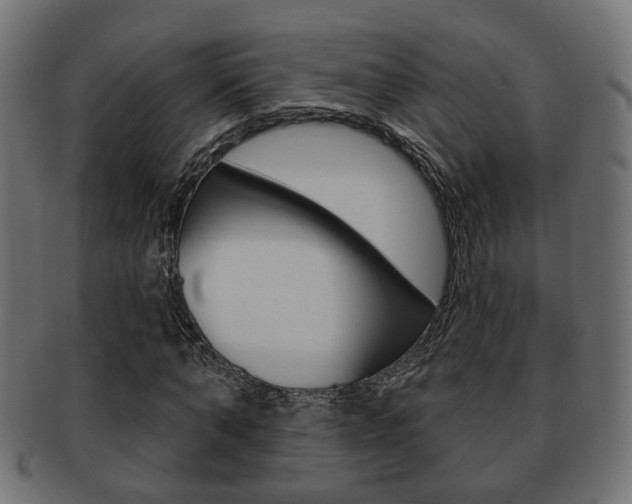 X0000091990870200709061218