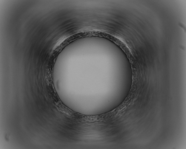 X0000091990871200709061218