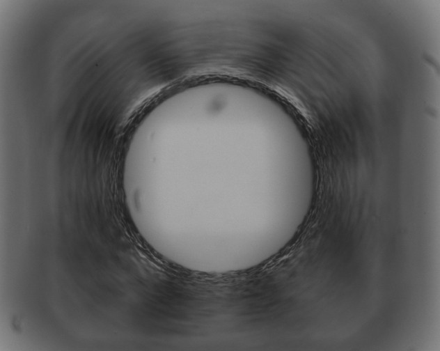 X0000091990872200709061218