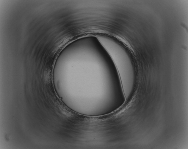 X0000091990873200709061218