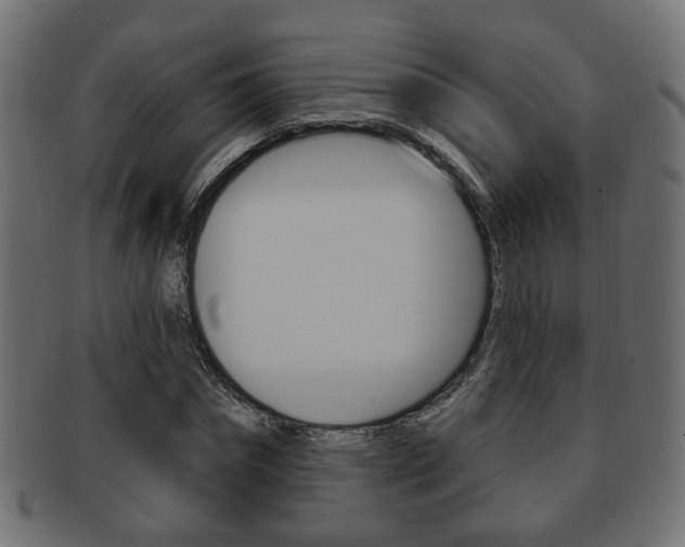 X0000091990874200709061218
