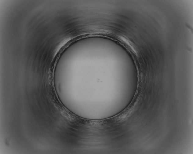 X0000091990875200709061218