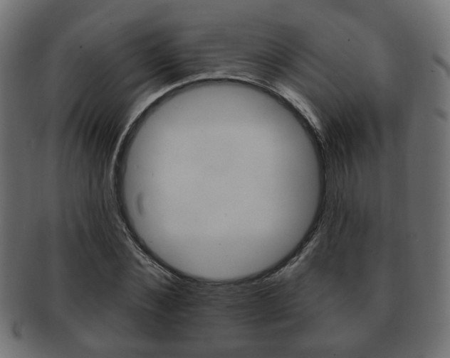 X0000091990876200709061218