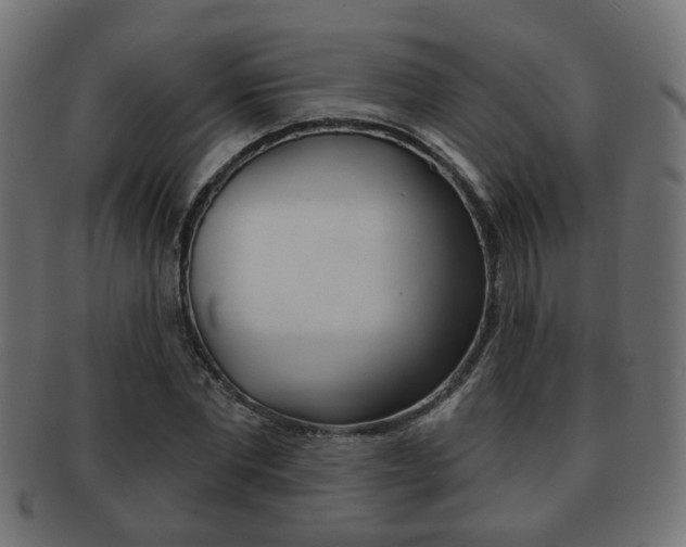 X0000091990877200709061218