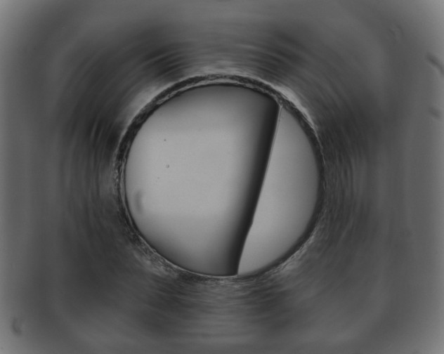 X0000091990879200709061218