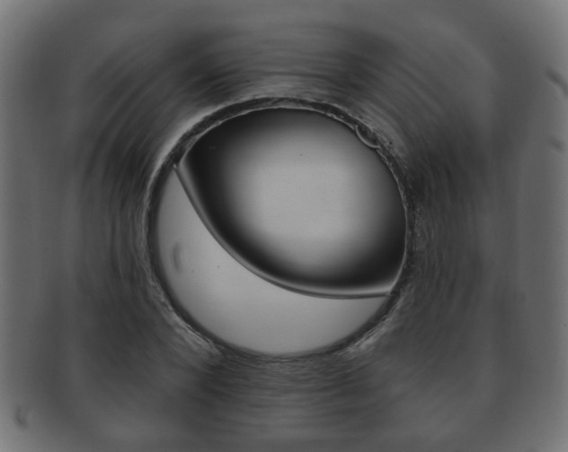 X0000091990880200709061218