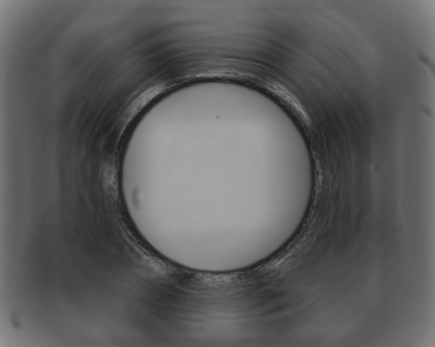 X0000091990882200709061218