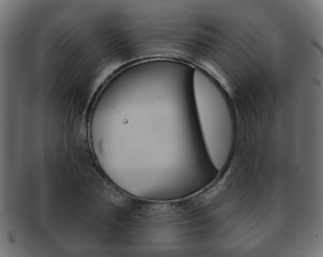 X0000091990883200709061218
