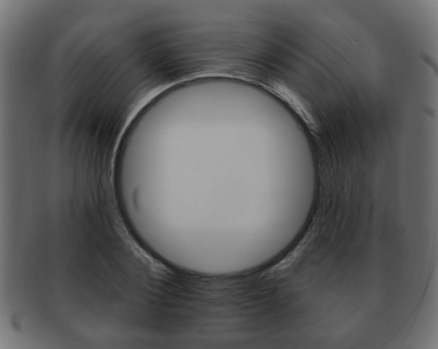 X0000091990884200709061218