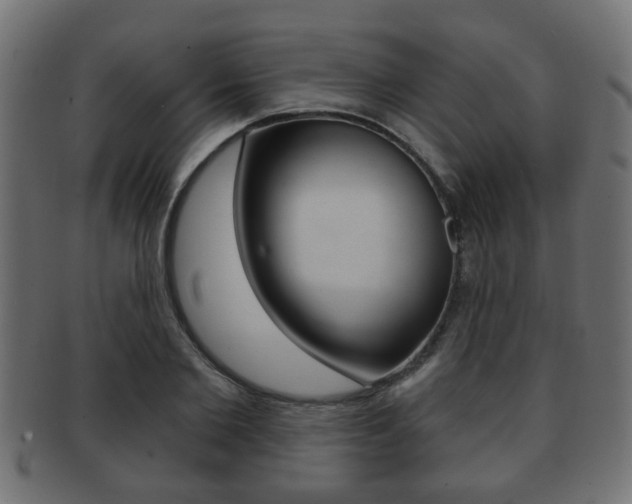 X0000091990885200709061218