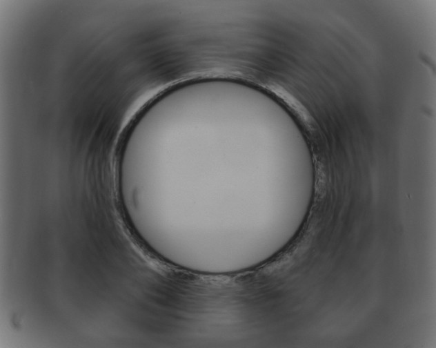 X0000091990886200709061218