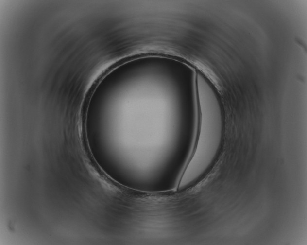 X0000091990888200709061218