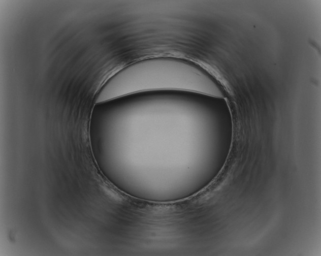 X0000091990889200709061218
