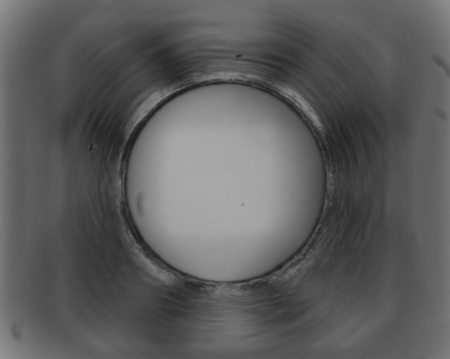 X0000091990890200709061218