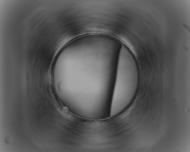 X0000091990891200709061218