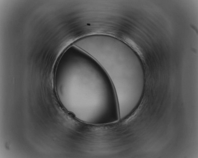 X0000091990892200709061218