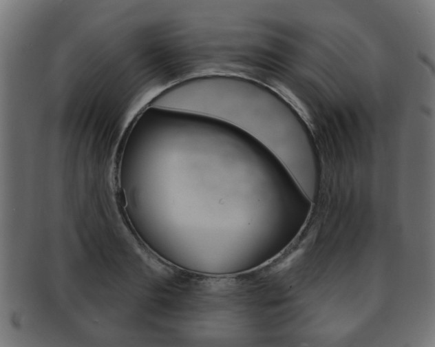 X0000091990893200709061218