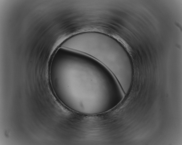 X0000091990894200709061218