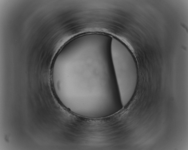 X0000091990895200709061218