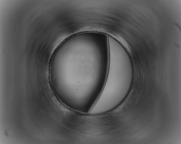 X0000091990896200709061218