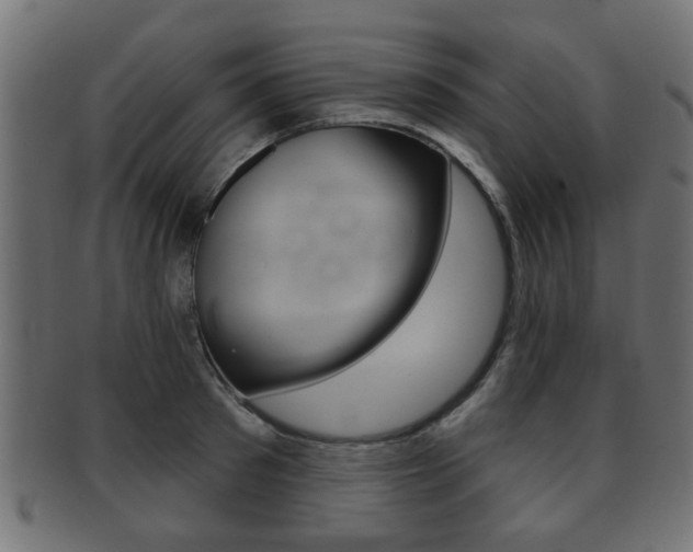 X0000091990897200709061218