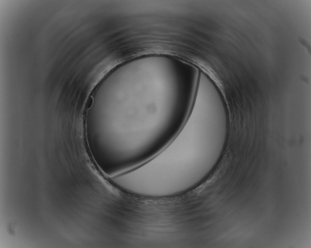 X0000091990898200709061218