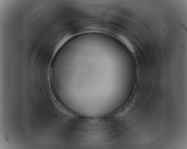 X0000091990899200709061218