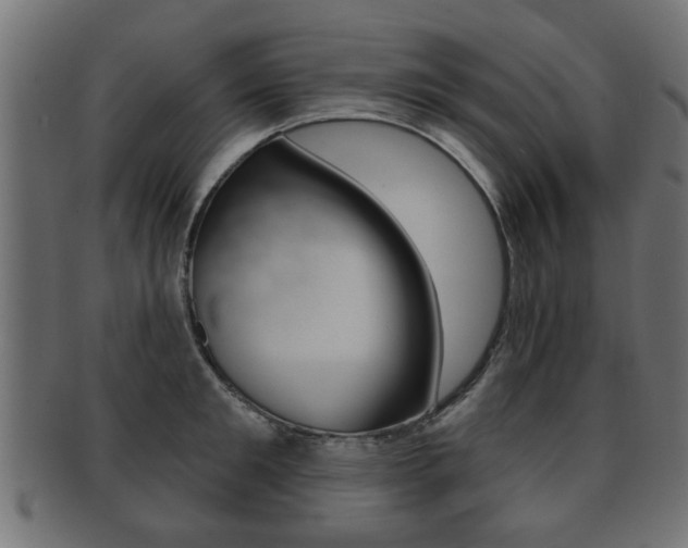 X0000091990901200709061218