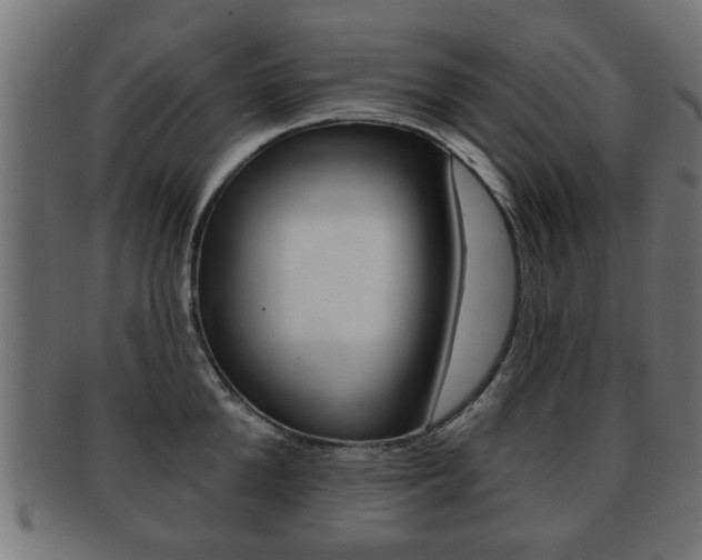 X0000091990904200709061218