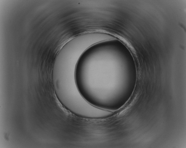 X0000091990905200709061218