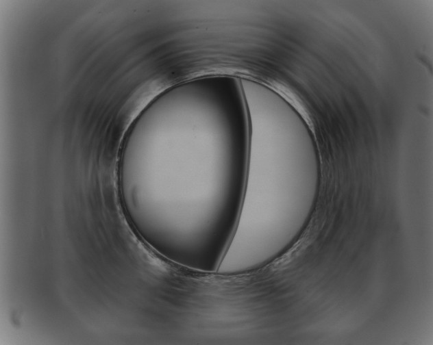 X0000091990906200709061218