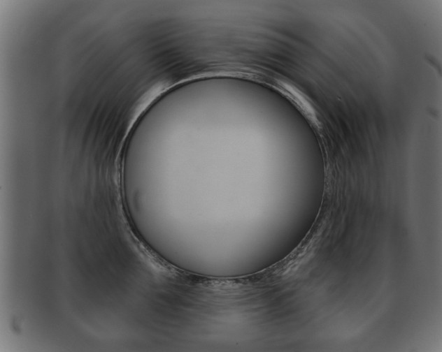 X0000091990907200709061218