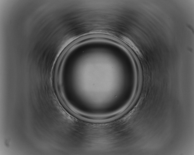 X0000091990908200709061218