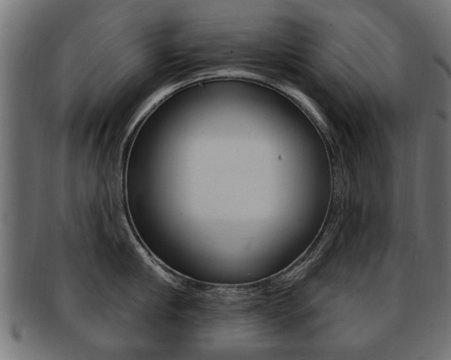 X0000091990910200709061218