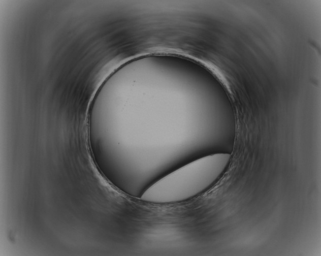 X0000091990911200709061218