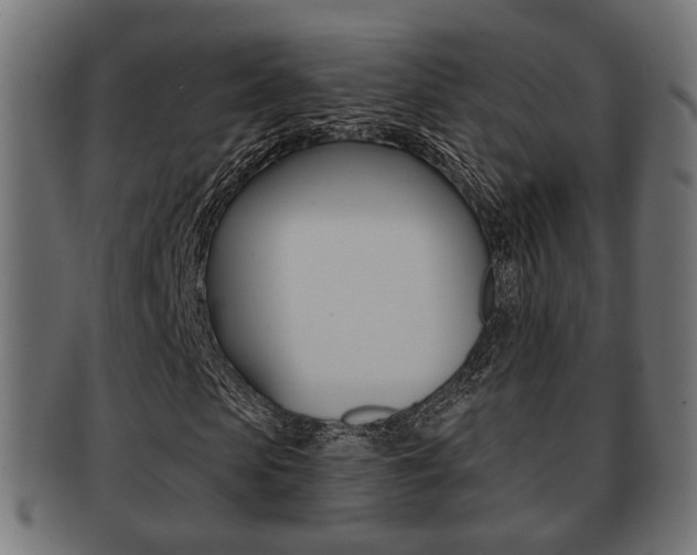 X0000091990913200709061217