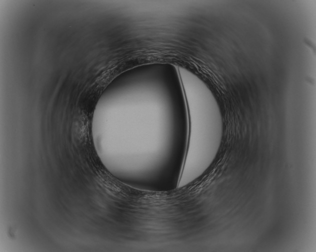 X0000091990914200709061217