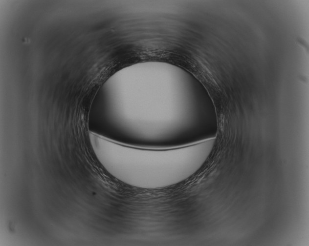 X0000091990915200709061217