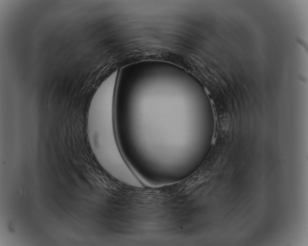 X0000091990916200709061217