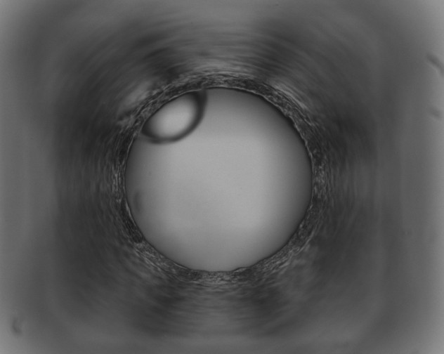 X0000091990917200709061217