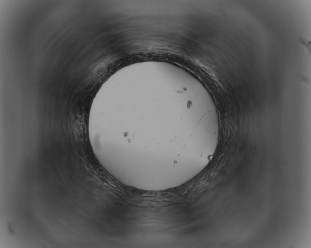 X0000091990918200709061217
