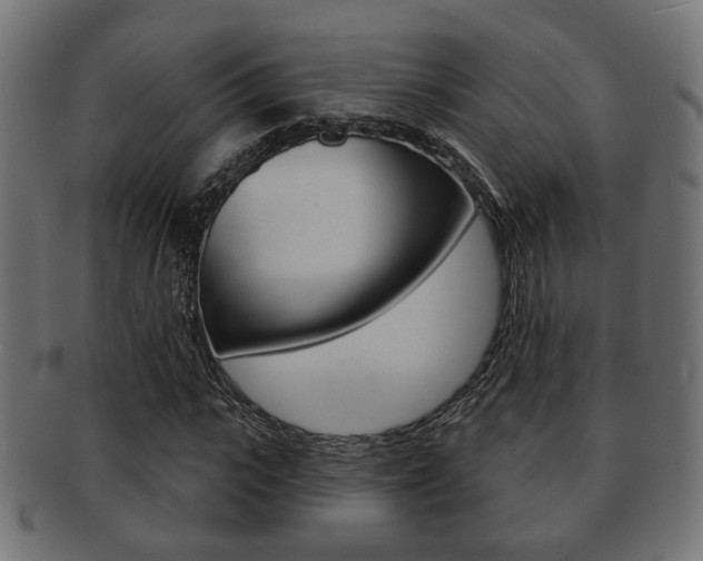 X0000091990919200709061217