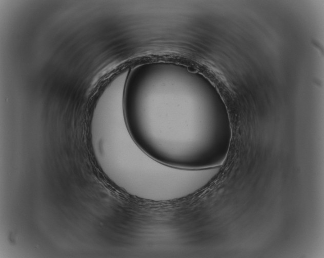 X0000091990920200709061217
