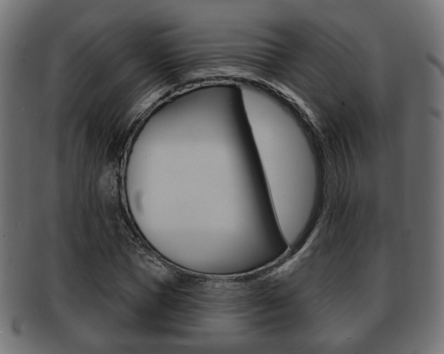 X0000091990921200709061217