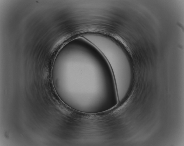 X0000091990922200709061217